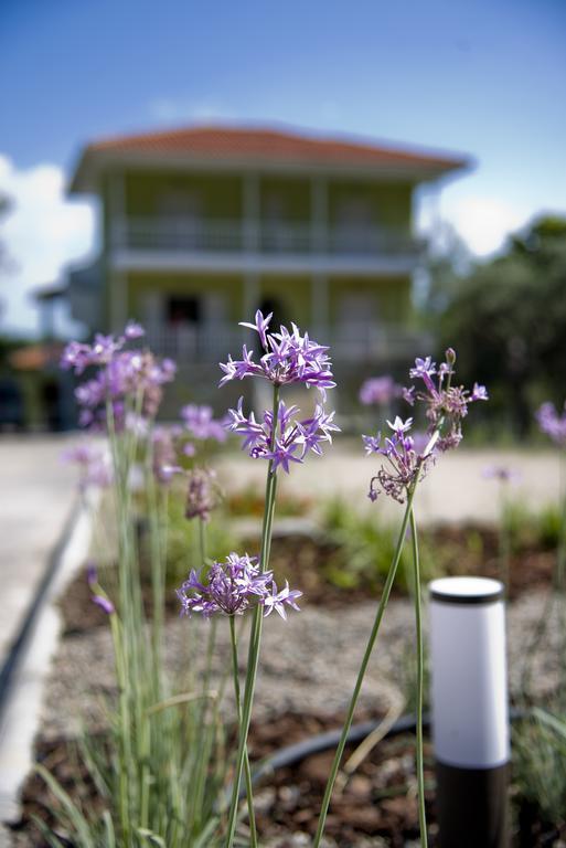 Olivegrove House Daire Vourvourou Dış mekan fotoğraf